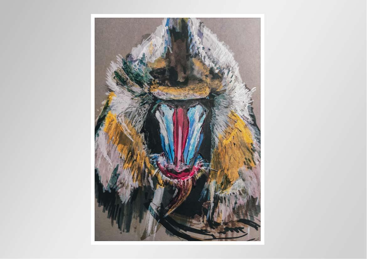 Illustrationen - Motiv 16
