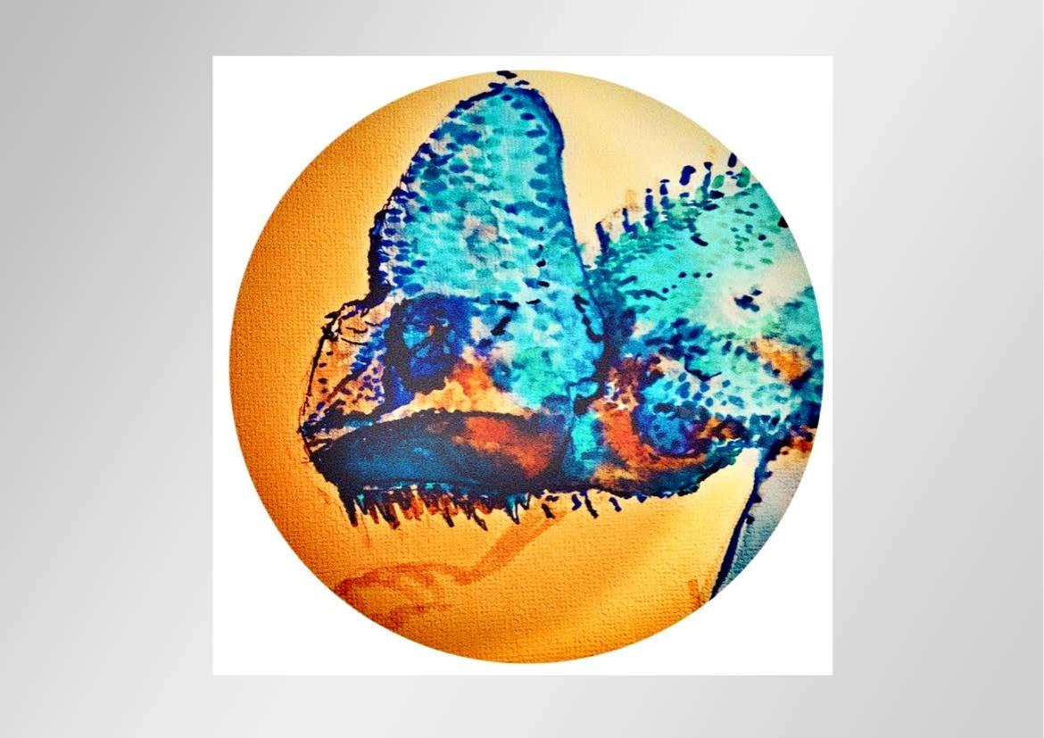 Illustrationen - Motiv 17